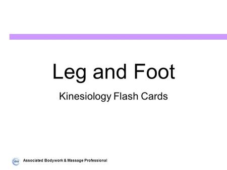 Associated Bodywork & Massage Professional Leg and Foot Kinesiology Flash Cards.