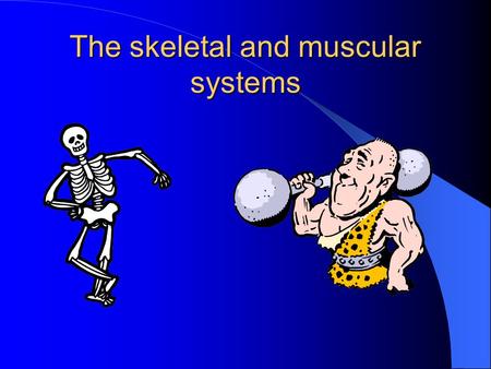 The skeletal and muscular systems Bones and muscles The bones in the body form the skeletal system. This provides a framework for the body. This framework.