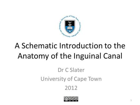 A Schematic Introduction to the Anatomy of the Inguinal Canal