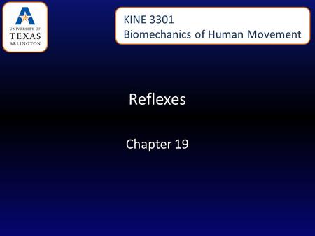 Reflexes Chapter 19 KINE 3301 Biomechanics of Human Movement.