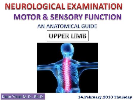 14.February.2013 Thursday. History Cerebral function (mental status) Cranial nerve function Motor function Sensory function Cerebellar function Reflex.