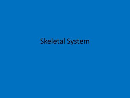 Skeletal System. Function of skeletal system Give our body shape so we’re not a puddle of skin and guts lying on the floor! Protect the organs in our.