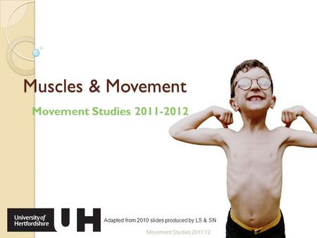 Muscles & Movement Movement Studies 2011-2012 Movement Studies 2011/12 Adapted from 2010 slides produced by LS & SN.