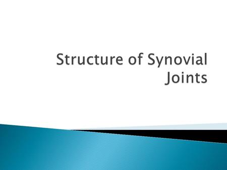 Synovial Joint  Allows wide ROM with strength and stability  ROM determined by ◦ Bone structure ◦ Strength of ligaments and capsule ◦ Size, arrangement,