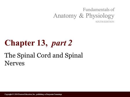Copyright © 2004 Pearson Education, Inc., publishing as Benjamin Cummings Fundamentals of Anatomy & Physiology SIXTH EDITION Chapter 13, part 2 The Spinal.