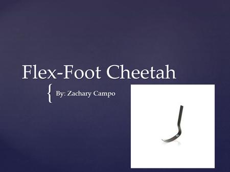 { Flex-Foot Cheetah By: Zachary Campo.  Prosthetics are artificial limbs used to replace a no longer existing limb.  The creation of prosthetics dates.