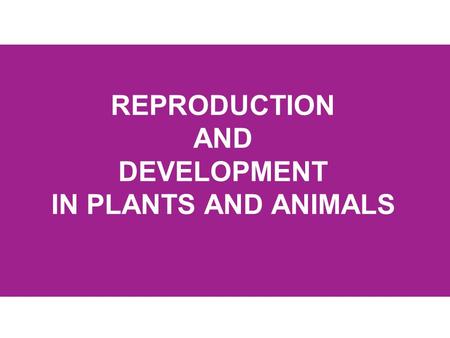 REPRODUCTION AND DEVELOPMENT IN PLANTS AND ANIMALS