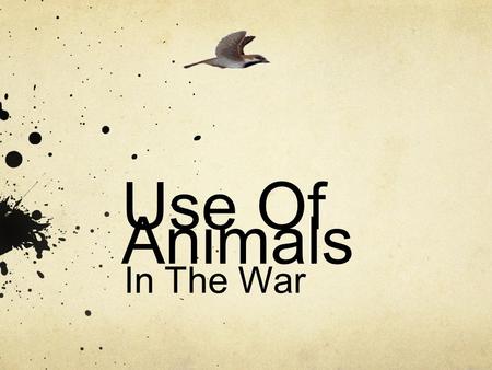Use Of Animals In The War. Animals Types of animals used in war were : Dogs Birds Horses others…