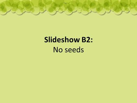 Slideshow B2: No seeds. Strawberry runners: Some plants can make new plants by sending out runners. plantlet runner.