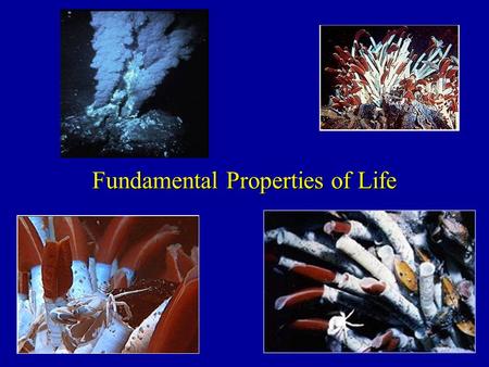 Fundamental Properties of Life