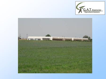 Company profile GAT AGENCIES is a Israeli company, supplying best solution to the farmer need’s of turnkey projects for the agriculture industry all over.