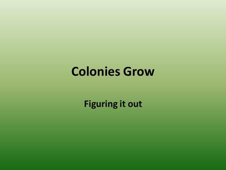 Colonies Grow Figuring it out.