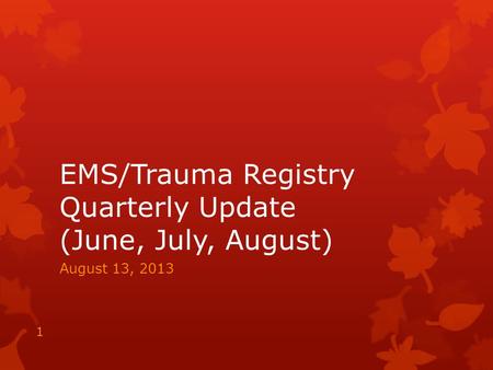 EMS/Trauma Registry Quarterly Update (June, July, August) August 13, 2013 1.