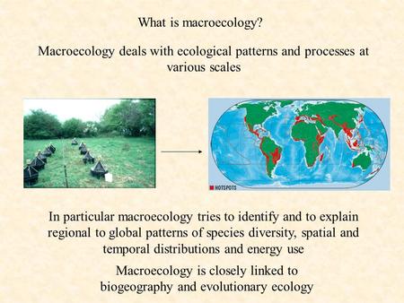 What is macroecology? Macroecology deals with ecological patterns and processes at various scales In particular macroecology tries to identify and to explain.