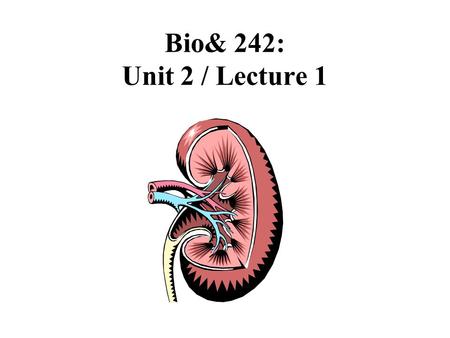 Bio& 242: Unit 2 / Lecture 1.