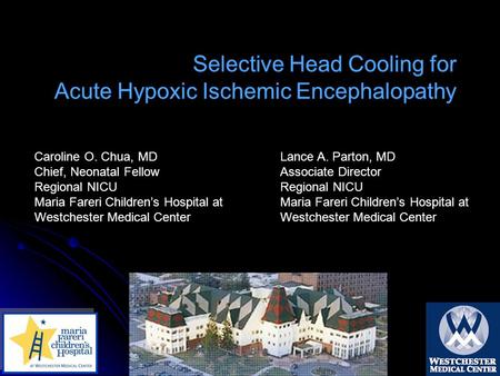 Selective Head Cooling for Acute Hypoxic Ischemic Encephalopathy