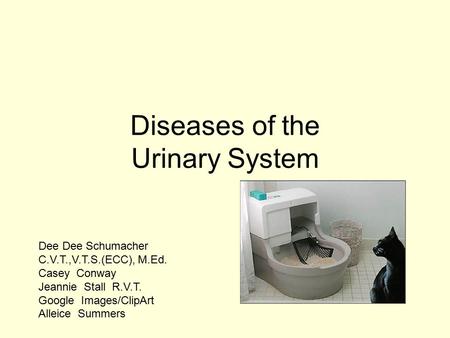Diseases of the Urinary System Dee Dee Schumacher C.V.T.,V.T.S.(ECC), M.Ed. Casey Conway Jeannie Stall R.V.T. Google Images/ClipArt Alleice Summers.