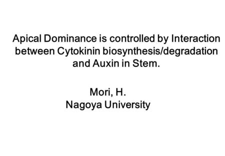 Apical Dominance is controlled by Interaction between Cytokinin biosynthesis/degradation and Auxin in Stem. Mori, H. Nagoya University.