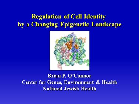 Brian P. O’Connor Center for Genes, Environment & Health National Jewish Health Regulation of Cell Identity by a Changing Epigenetic Landscape.