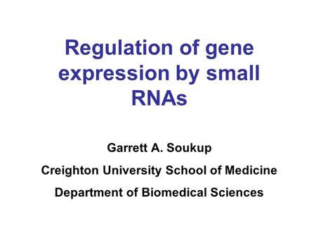 Regulation of gene expression by small RNAs