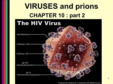 1 VIRUSES and prions CHAPTER 10 : part 2. 2 Viruses part II - Animals and Plants Unique challenges. Must evade immune systems and must cross 2 lipid bilayer.