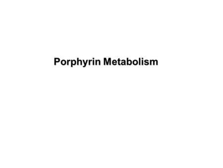 Porphyrin Metabolism.