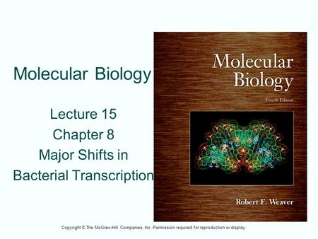 Molecular Biology Lecture 15 Chapter 8 Major Shifts in Bacterial Transcription Copyright © The McGraw-Hill Companies, Inc. Permission required for reproduction.