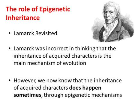 The role of Epigenetic Inheritance