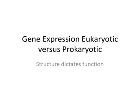 Gene Expression Eukaryotic versus Prokaryotic