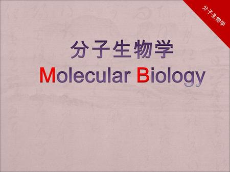 分子生物学 Molecular Biology