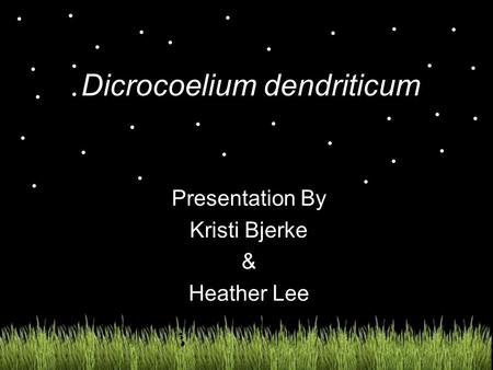 Dicrocoelium dendriticum Presentation By Kristi Bjerke & Heather Lee.
