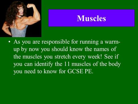 Muscles As you are responsible for running a warm- up by now you should know the names of the muscles you stretch every week! See if you can identify the.