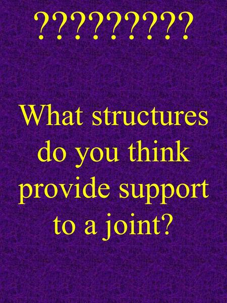 ????????? What structures do you think provide support to a joint?