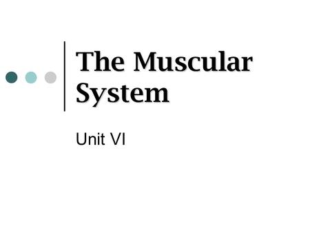 The Muscular System Unit VI.