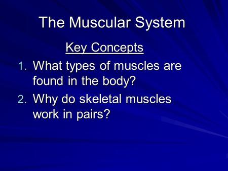 The Muscular System Key Concepts