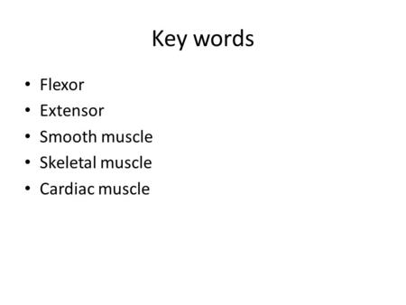 Key words Flexor Extensor Smooth muscle Skeletal muscle Cardiac muscle.