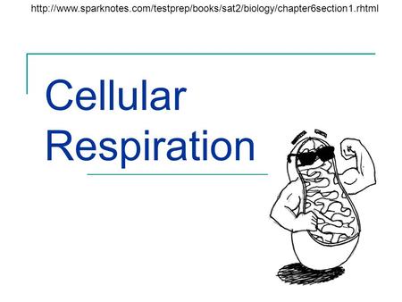 Http://www. sparknotes http://www.sparknotes.com/testprep/books/sat2/biology/chapter6section1.rhtml Cellular Respiration.