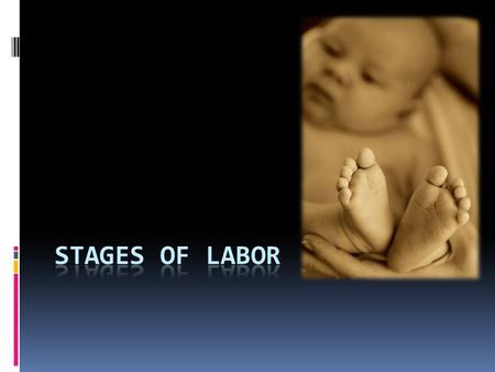What are the stages of labor?  First Stage- begins with the beginning of contractions that cause progressing changes in your cervix and ends when your.