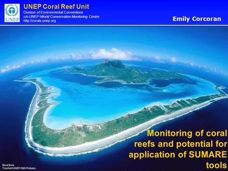 UNEP Coral Reef Unit Division of Environmental Conventions c/o UNEP-World Conservation Monitoring Centre  Monitoring of coral reefs.