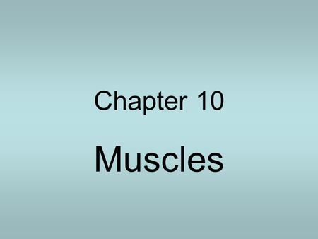 Chapter 10 Muscles. Functions of Muscles Body movements Body positions Storing and moving substances Generating heat.