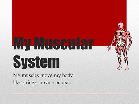 My Muscular System My muscles move my body like strings move a puppet.