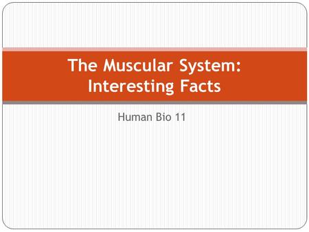 The Muscular System: Interesting Facts