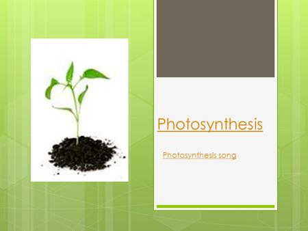 Photosynthesis Photosynthesis song. Keystone Anchors  BIO.A.3.2.1 Compare the basic transformation of energy during photosynthesis and cellular respiration.