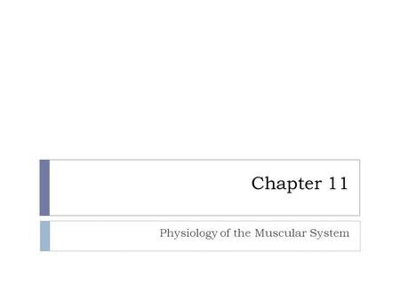 Chapter 11 Physiology of the Muscular System. General functions:  Movement  Heat Production  Posture.