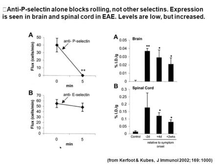 (from Kerfoot & Kubes, J Immunol 2002; 169: 1000) Anti-P-selectin alone blocks rolling, not other selectins. Expression is seen in brain and spinal cord.