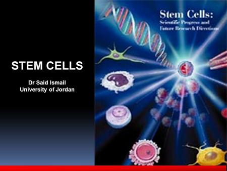 STEM CELLS Dr Said Ismail University of Jordan. Introduction: stem cells: (i)renew itself indefinitely (ii) give rise to multiple tissue types A stem.