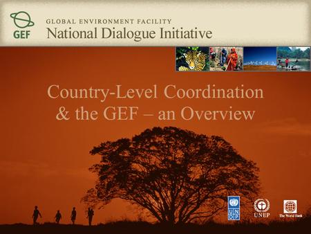 Country-Level Coordination & the GEF – an Overview.