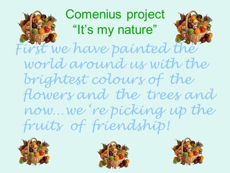 Comenius project “It’s my nature” First we have painted the world around us with the brightest colours of the flowers and the trees and now…we ‘re picking.