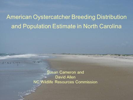 American Oystercatcher Breeding Distribution and Population Estimate in North Carolina Susan Cameron and David Allen NC Wildlife Resources Commission.