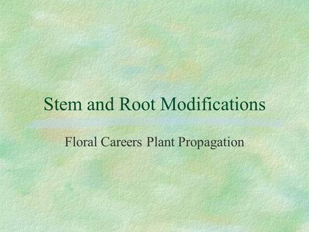 Stem and Root Modifications